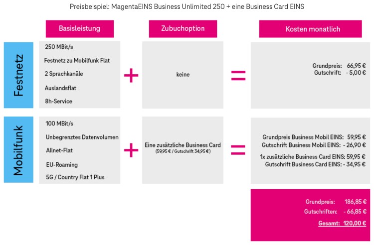 Telekom MagentaEINS Business Unlimited - Preisbeispiel